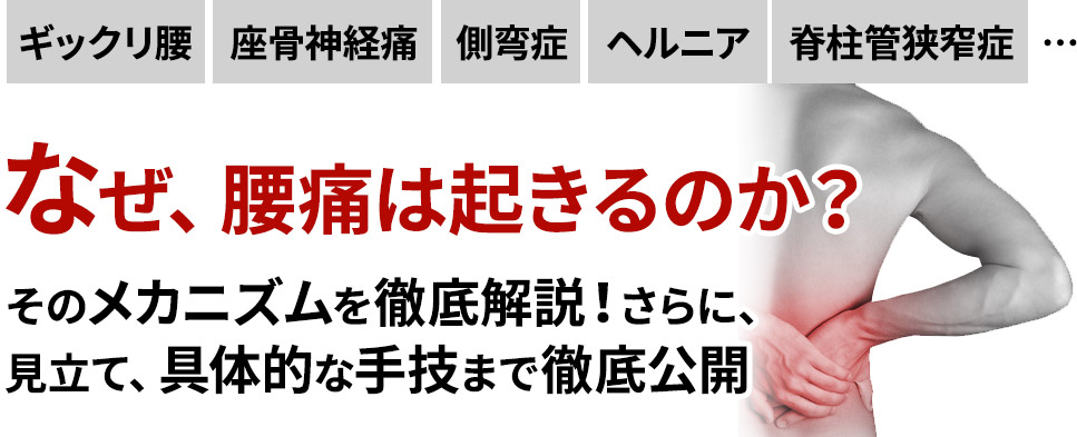 4日間限定の緊急企画