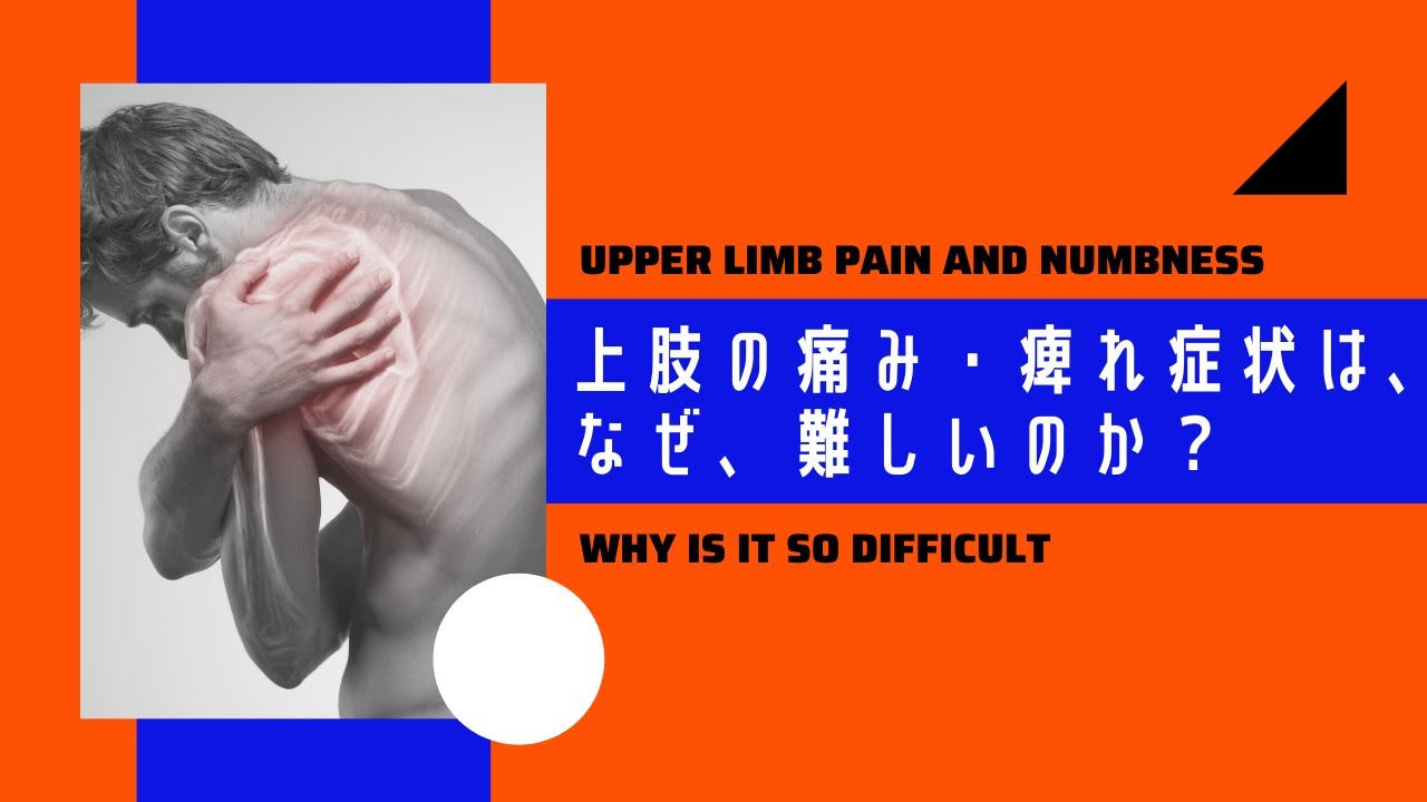 上肢の痛み・痺れ症状は、なぜ、難しいのか？